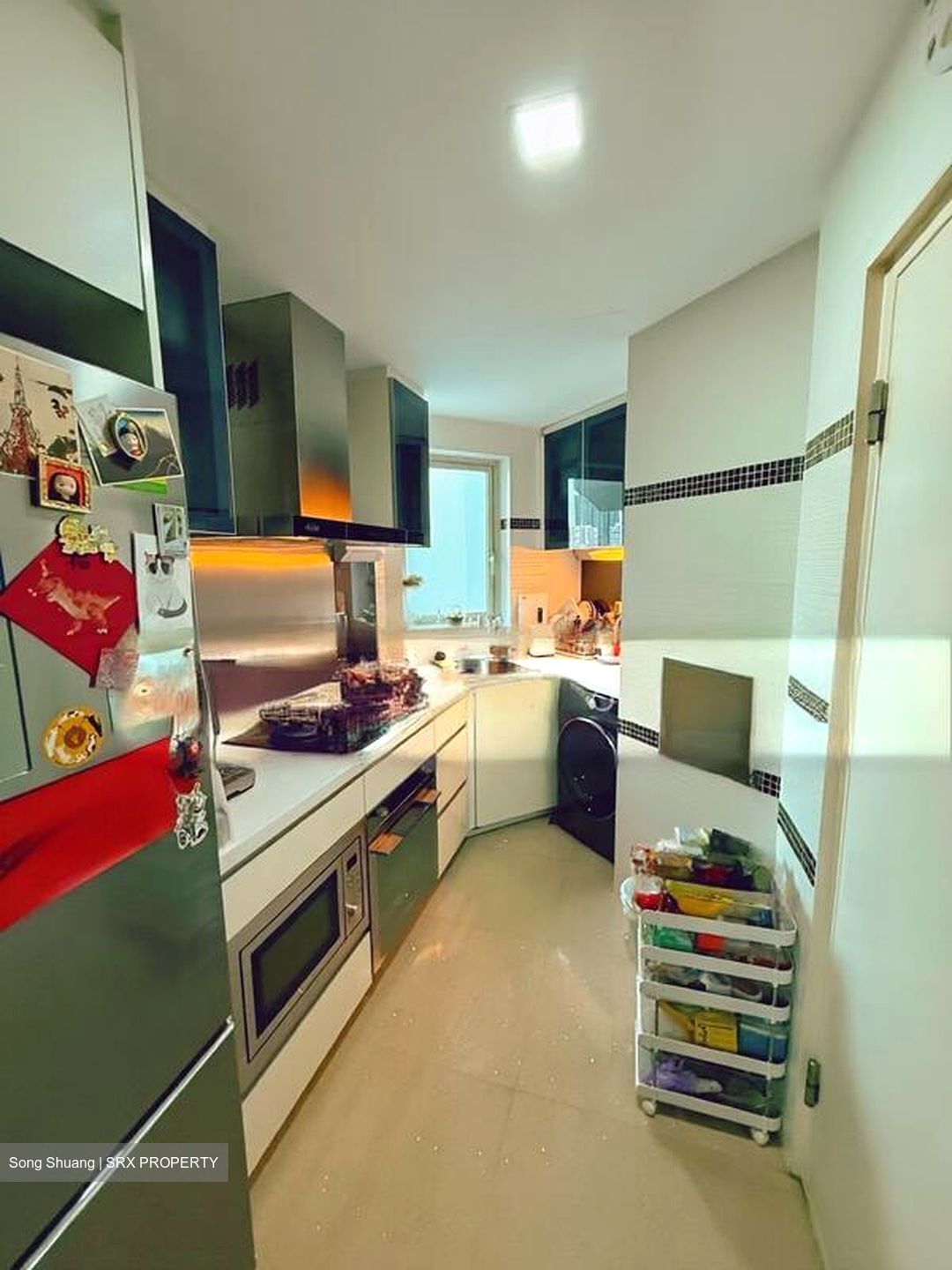 The Vision (D5), Condominium #502273451